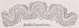 Anticlinorium