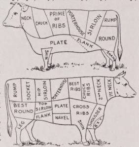 Beef