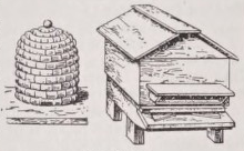 Beehive