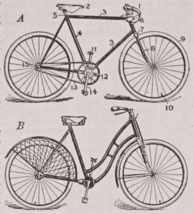 Bicycle