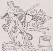 Cerberus