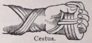 Cestus