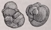 Concretion