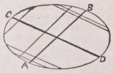 Conjugate