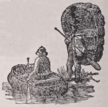 Coracle