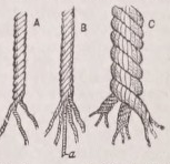 Cordage