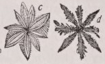 Crystallite