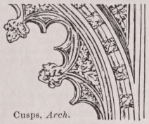 Cusp
