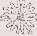 Ephyra