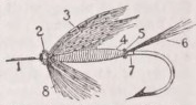 Fly
