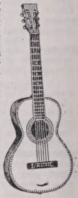 Guitar