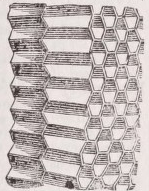 Honeycomb
