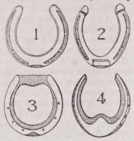 Horseshoe
