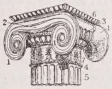 Ionic