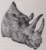 Keitloa