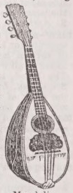 Mandolin