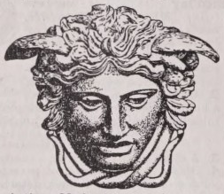 Medusa