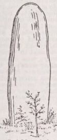 Menhir