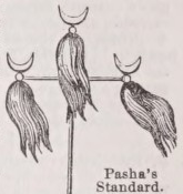 Pasha