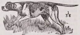 Pointer