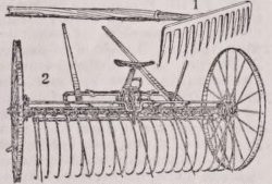 Rake