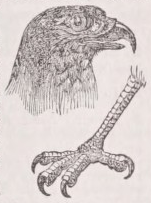 Raptores