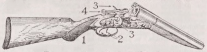 Shotgun