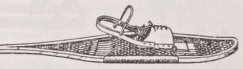 Snowshoe