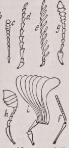 Antenna