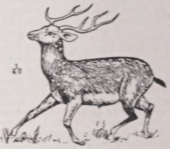 Axis