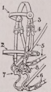 Bridle