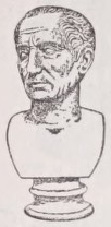 Bust