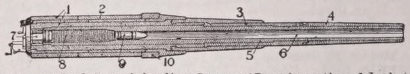 Cannon