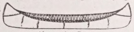 Canoe