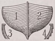 Carvelbuilt