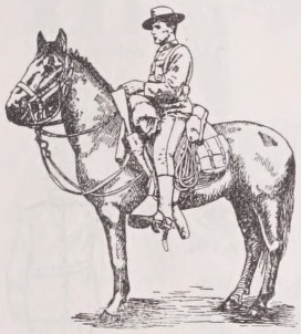 Cavalryman