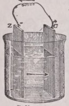 Cell