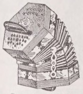 Concertina