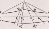 Conchoid