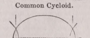 Cycloid