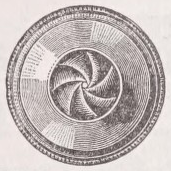 Diaphragm