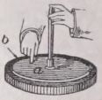 Electrophorus