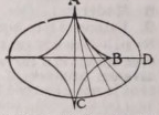 Evolute