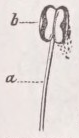 Filament