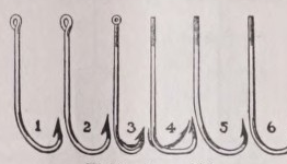 Fishhook