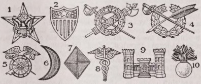 Insignia