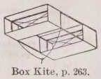 Kite
