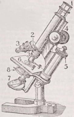 Microscope