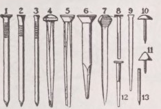 Nail