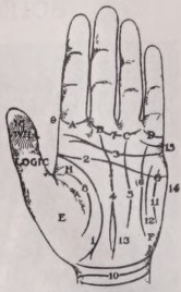 Palmistry
